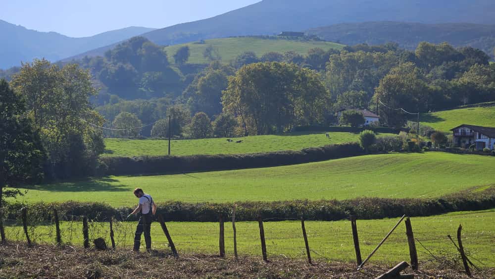 Jardin entretenu par Les Jardins de Bittor